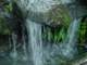 dsc06017_small.jpg