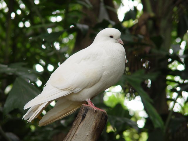 dsc06019.jpg
