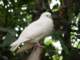 dsc06019_small.jpg