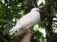 dsc06020_small.jpg