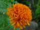dsc06023_small.jpg