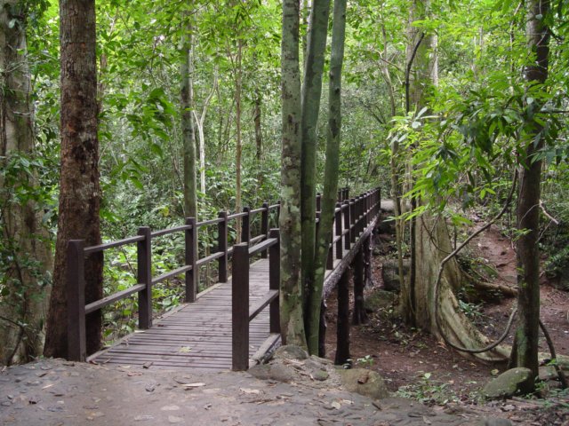 dsc06029.jpg