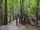 dsc06029_small.jpg