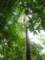 dsc06030_small.jpg