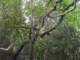 dsc06032_small.jpg