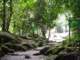 dsc06033_small.jpg