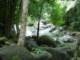 dsc06035_small.jpg