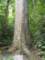 dsc06036_small.jpg