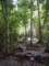 dsc06037_small.jpg