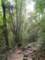 dsc06038_small.jpg