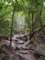 dsc06039_small.jpg
