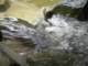 dsc06040_small.jpg