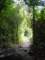 dsc06041_small.jpg