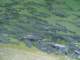 dsc06045_small.jpg
