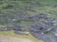 dsc06046_small.jpg