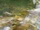 dsc06048_small.jpg