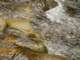 dsc06049_small.jpg