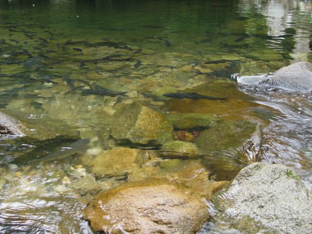dsc06050.jpg