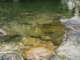 dsc06050_small.jpg