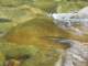 dsc06051_small.jpg