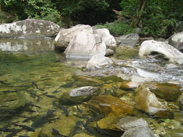 dsc06053.jpg