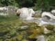 dsc06053_small.jpg