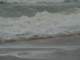 dsc06054_small.jpg
