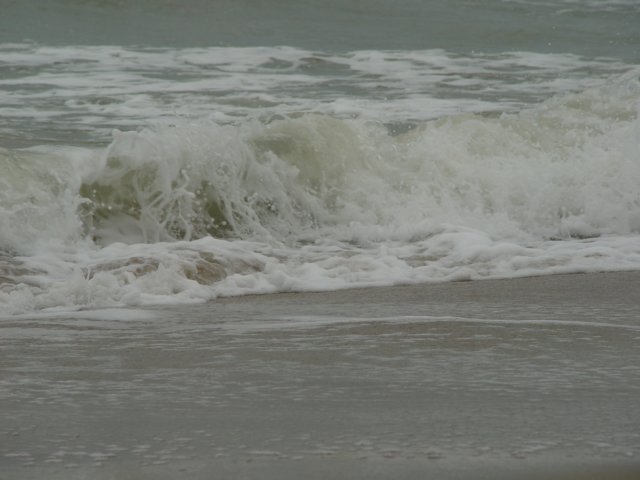 dsc06055.jpg