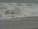 dsc06055_small.jpg
