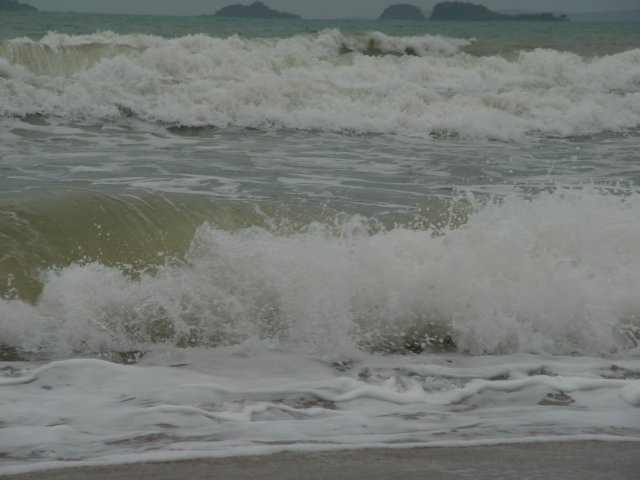 dsc06056.jpg