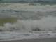 dsc06056_small.jpg