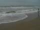 dsc06057_small.jpg