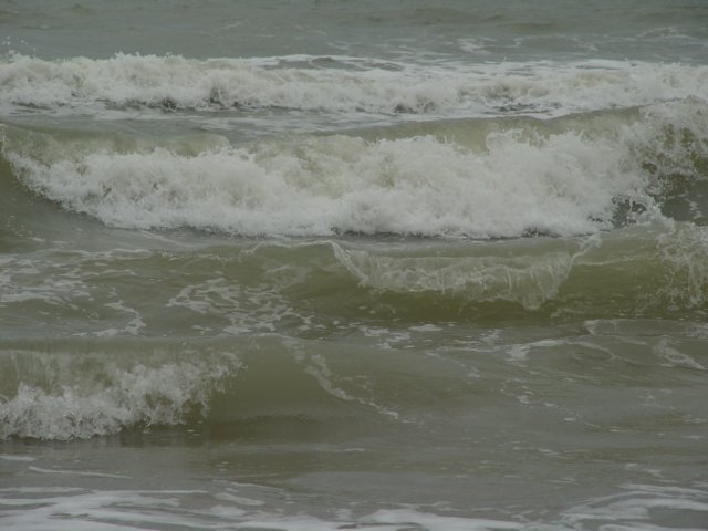 dsc06059.jpg