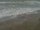 dsc06060_small.jpg