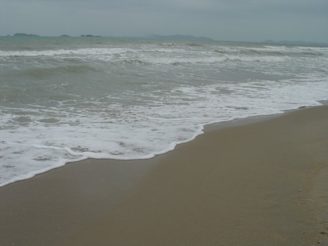 dsc06061.jpg