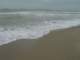 dsc06061_small.jpg