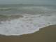 dsc06062_small.jpg
