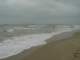 dsc06063_small.jpg