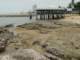 dsc06075_small.jpg