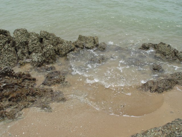 dsc06076.jpg