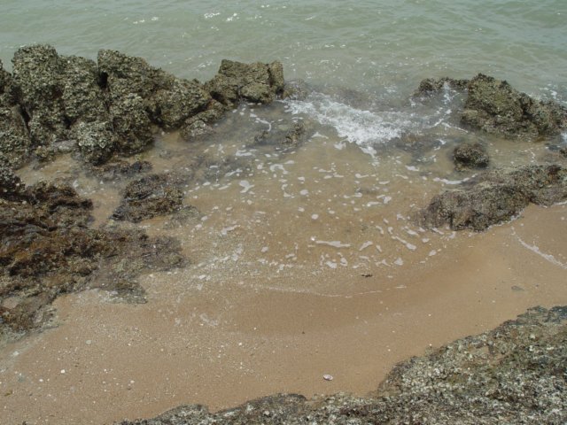 dsc06077.jpg