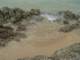 dsc06077_small.jpg