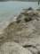 dsc06079_small.jpg