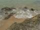 dsc06080_small.jpg