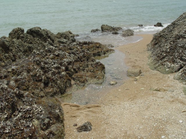 dsc06083.jpg