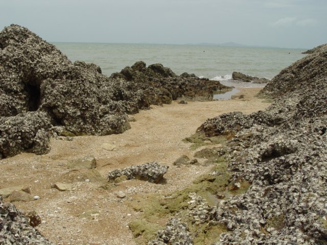 dsc06085.jpg