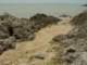 dsc06086_small.jpg