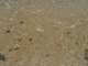 dsc06087_small.jpg