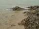dsc06088_small.jpg