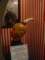 dsc06114_small.jpg